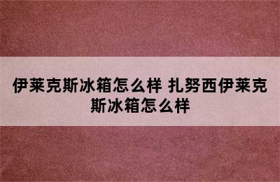 伊莱克斯冰箱怎么样 扎努西伊莱克斯冰箱怎么样